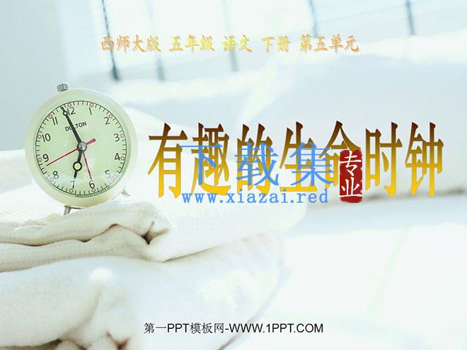 《有趣的生命时钟》PPT课件