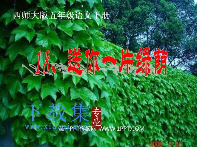 《送你一片绿荫》PPT课件4