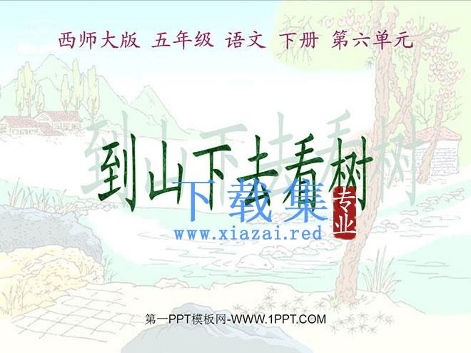 《到山下去看树》PPT课件