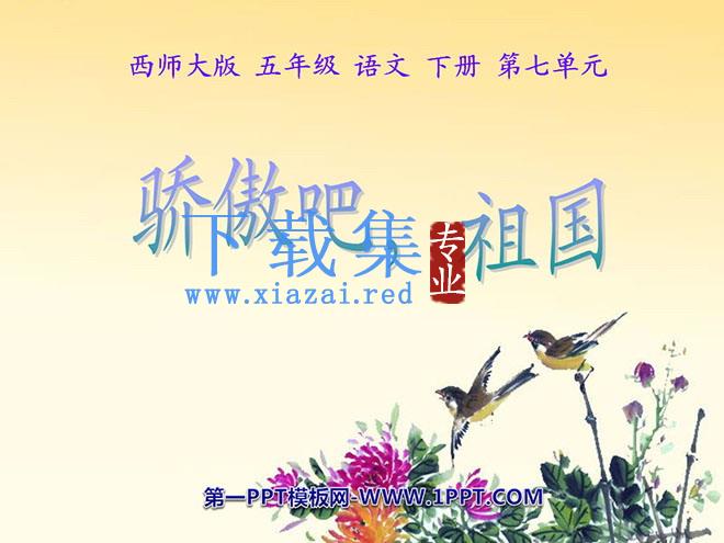 《骄傲吧，祖国》PPT课件2