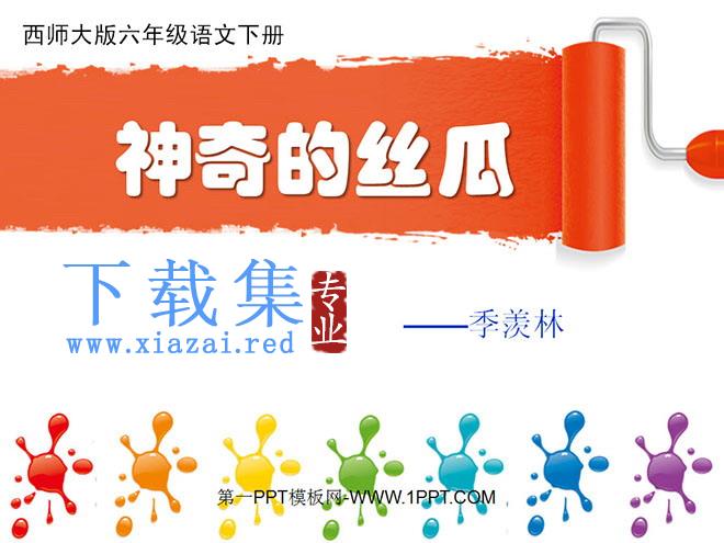 《神奇的丝瓜》PPT课件4