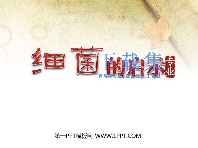 《细菌的启示》PPT课件2