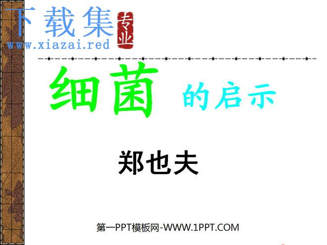 《细菌的启示》PPT课件3