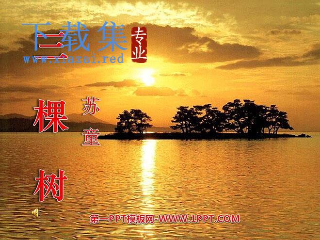 《三棵树》PPT课件