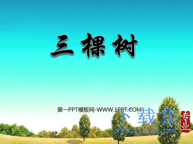 《三棵树》PPT课件2