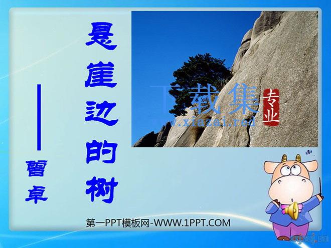 《悬崖边的树》PPT课件