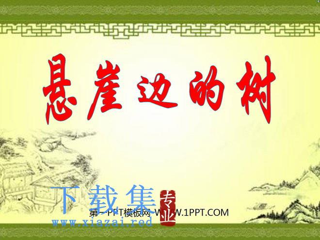 《悬崖边的树》PPT课件2