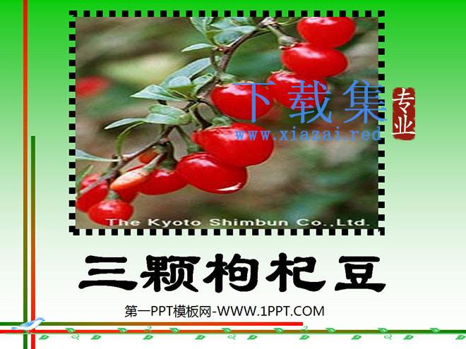 《三颗枸杞豆》PPT课件