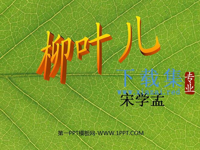 《柳叶儿》PPT课件