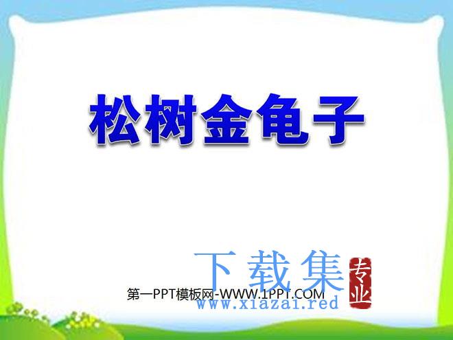 《松树金龟子》PPT课件2