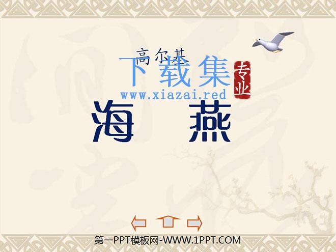 《海燕》PPT课件8