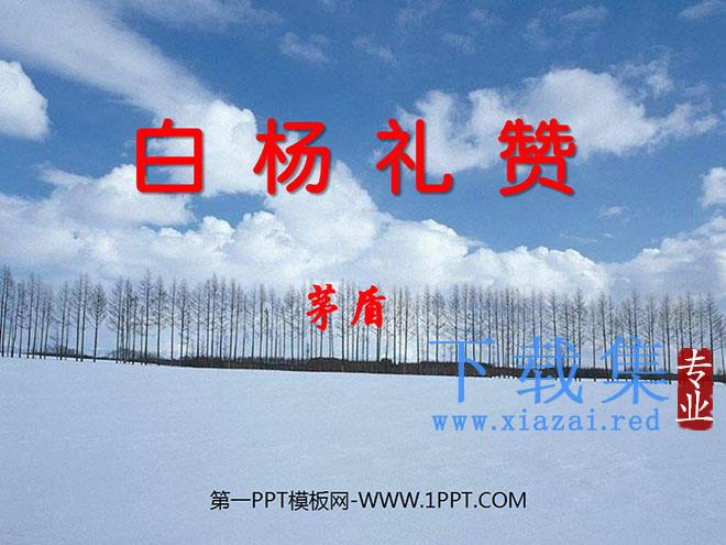 《白杨礼赞》PPT课件5