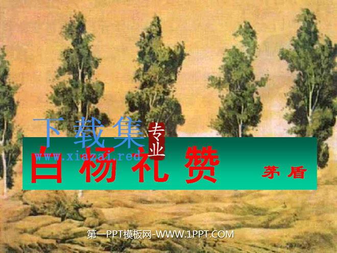 《白杨礼赞》PPT课件7