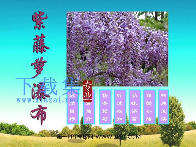 《紫藤萝瀑布》PPT课件4