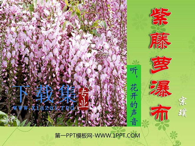 《紫藤萝瀑布》PPT课件5