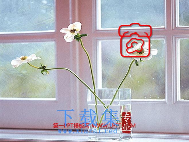 《窗》PPT课件