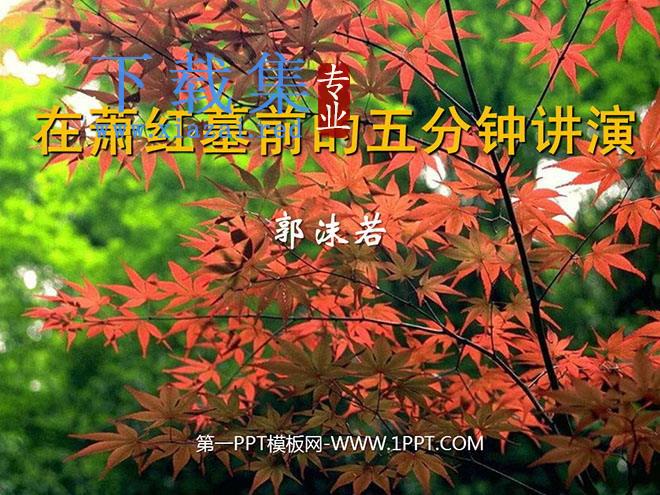《在萧红墓前的五分钟讲演》PPT课件3