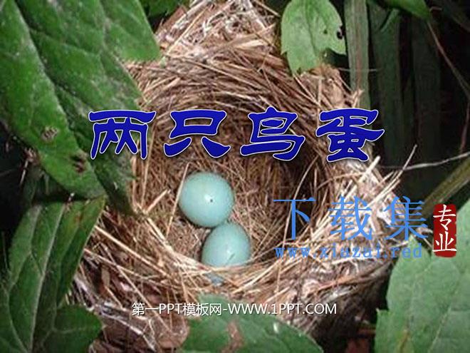 《两只鸟蛋》PPT课件5