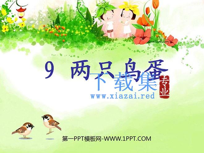《两只鸟蛋》PPT课件7