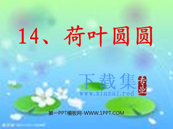 《荷叶圆圆》PPT课件4