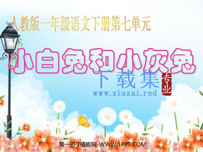 《小白兔和小灰兔》PPT课件3