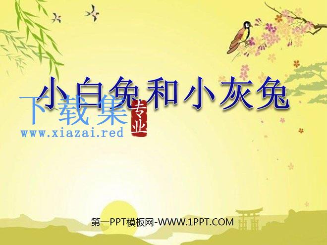 《小白兔和小灰兔》PPT课件5
