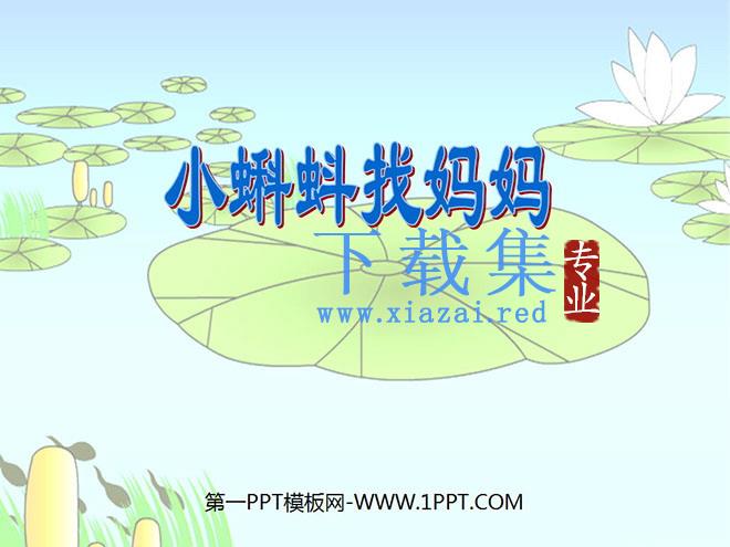 《小蝌蚪找妈妈》PPT课件3