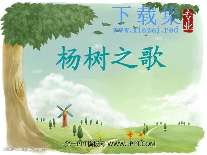 《杨树之歌》PPT课件2