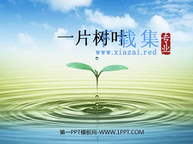 《一片树叶》PPT课件2