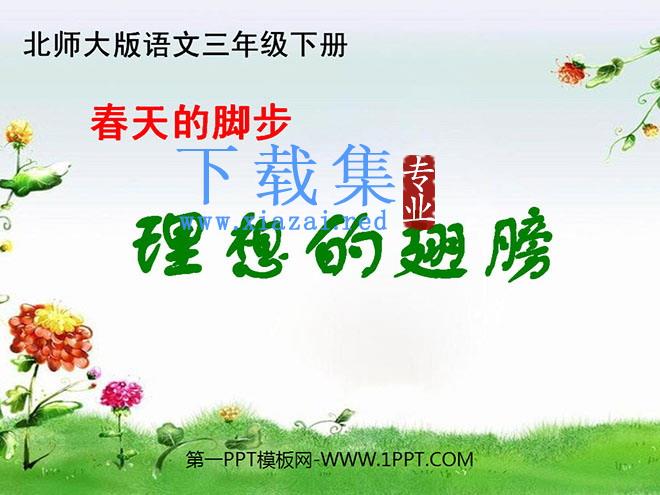 《理想的翅膀》PPT课件4