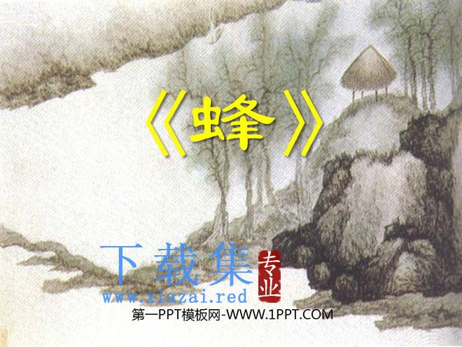 《蜂》PPT课件2