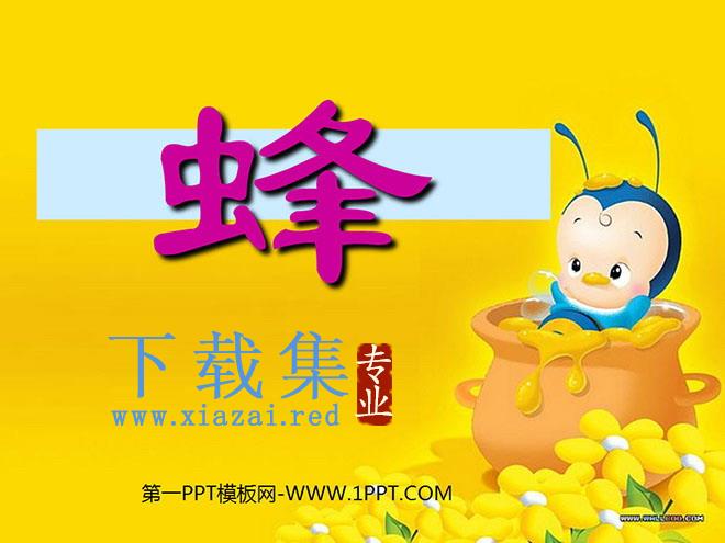 《蜂》PPT课件3