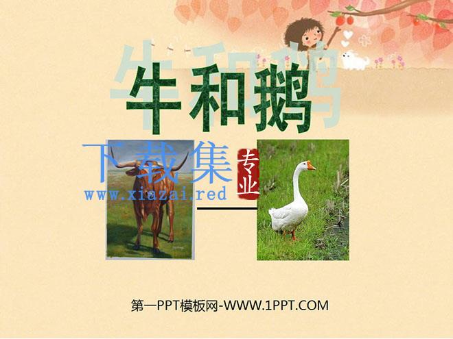 《牛和鹅》PPT课件3