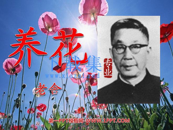 《养花》PPT课件3