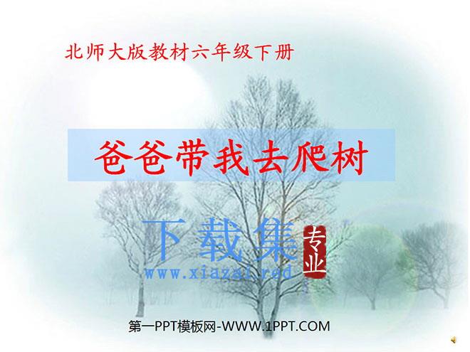 《爸爸带我去爬树》PPT课件3