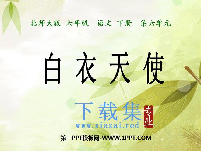 《白衣天使》PPT课件3