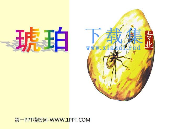《琥珀》PPT课件2