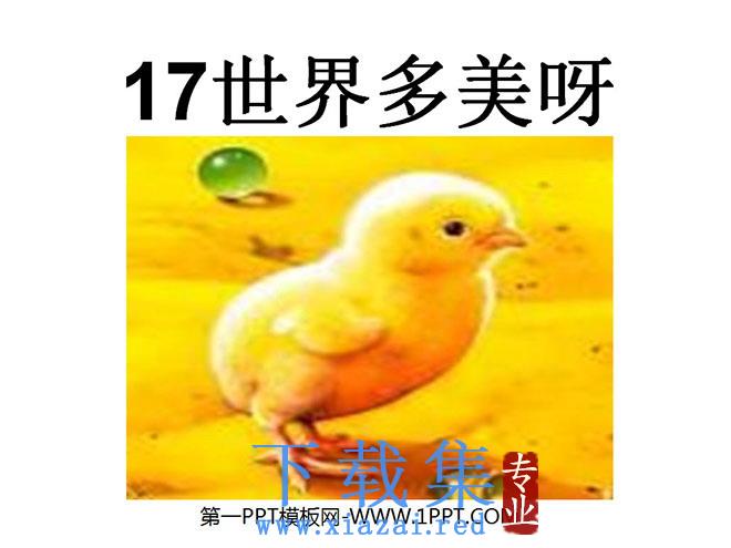 《世界多美呀》PPT课件4