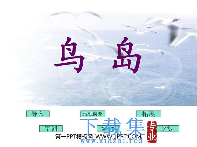 《鸟岛》PPT课件5