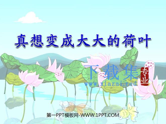 《真想变成大大的荷叶》PPT课件3