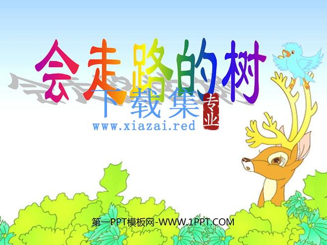 《会走路的树》PPT课件4