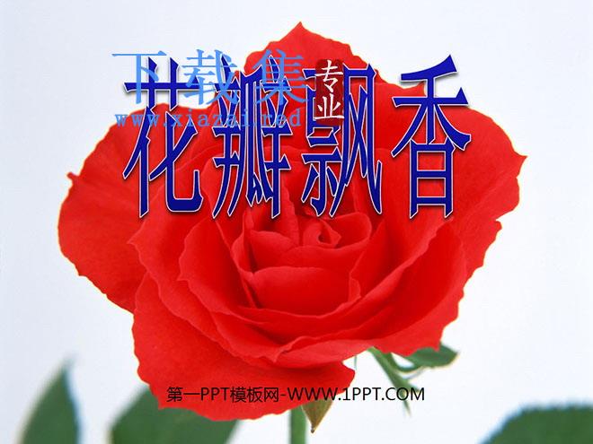 《花瓣飘香》PPT课件4