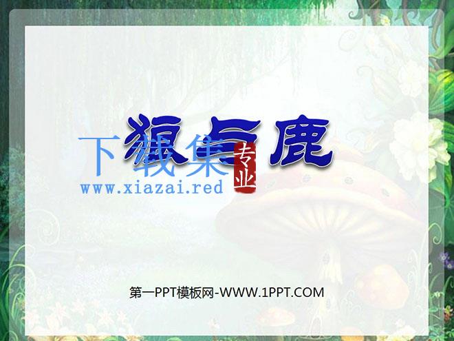《狼和鹿》PPT课件4