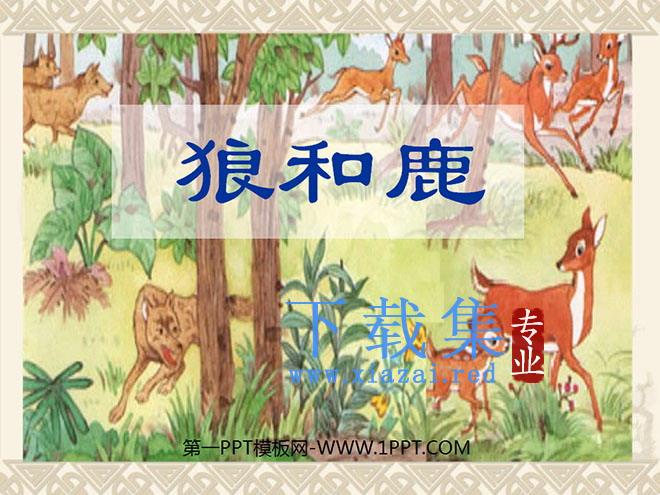 《狼和鹿》PPT课件5