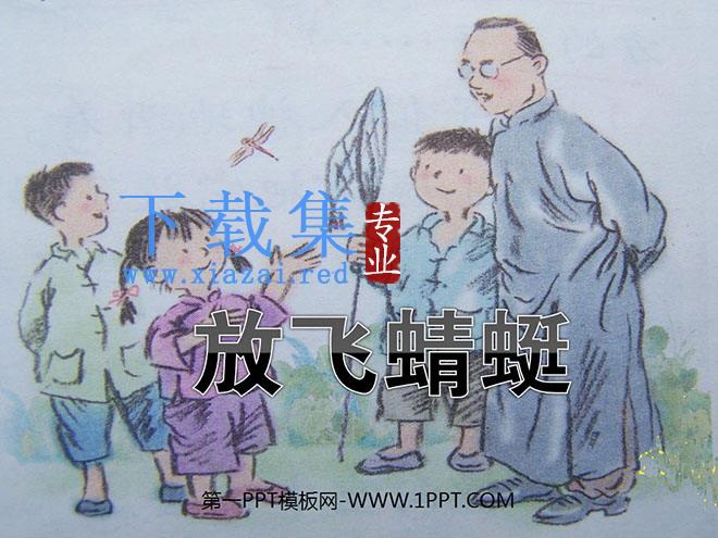 《放飞蜻蜓》PPT课件3
