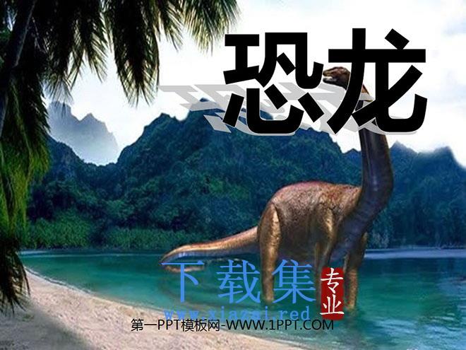 《恐龙》PPT课件5