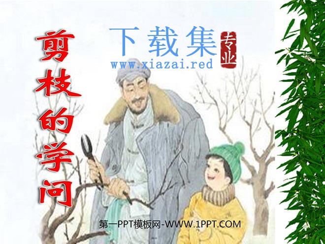 《剪枝的学问》PPT课件4