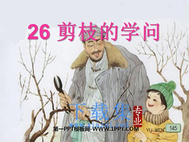 《剪枝的学问》PPT课件5
