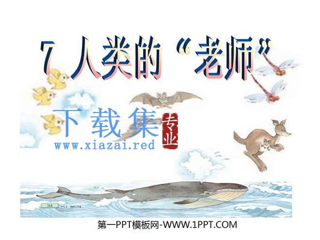 《人类的老师》PPT课件7