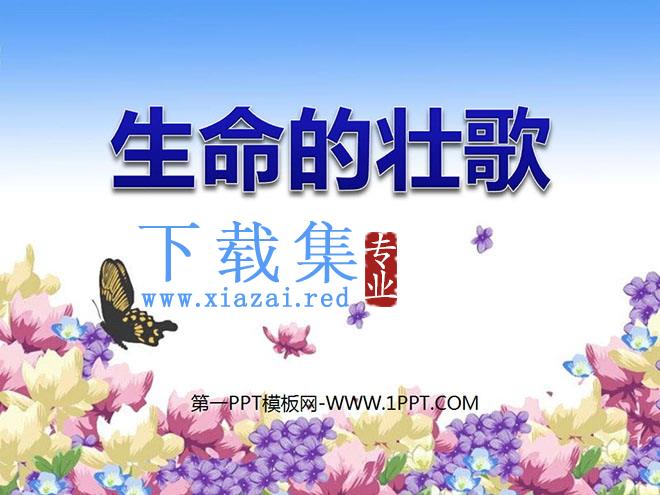《生命的壮歌》PPT课件4